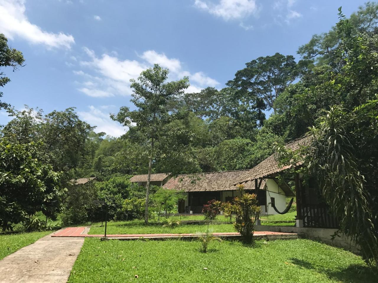 Jungle Lodge El Jardin Aleman Tena Ngoại thất bức ảnh